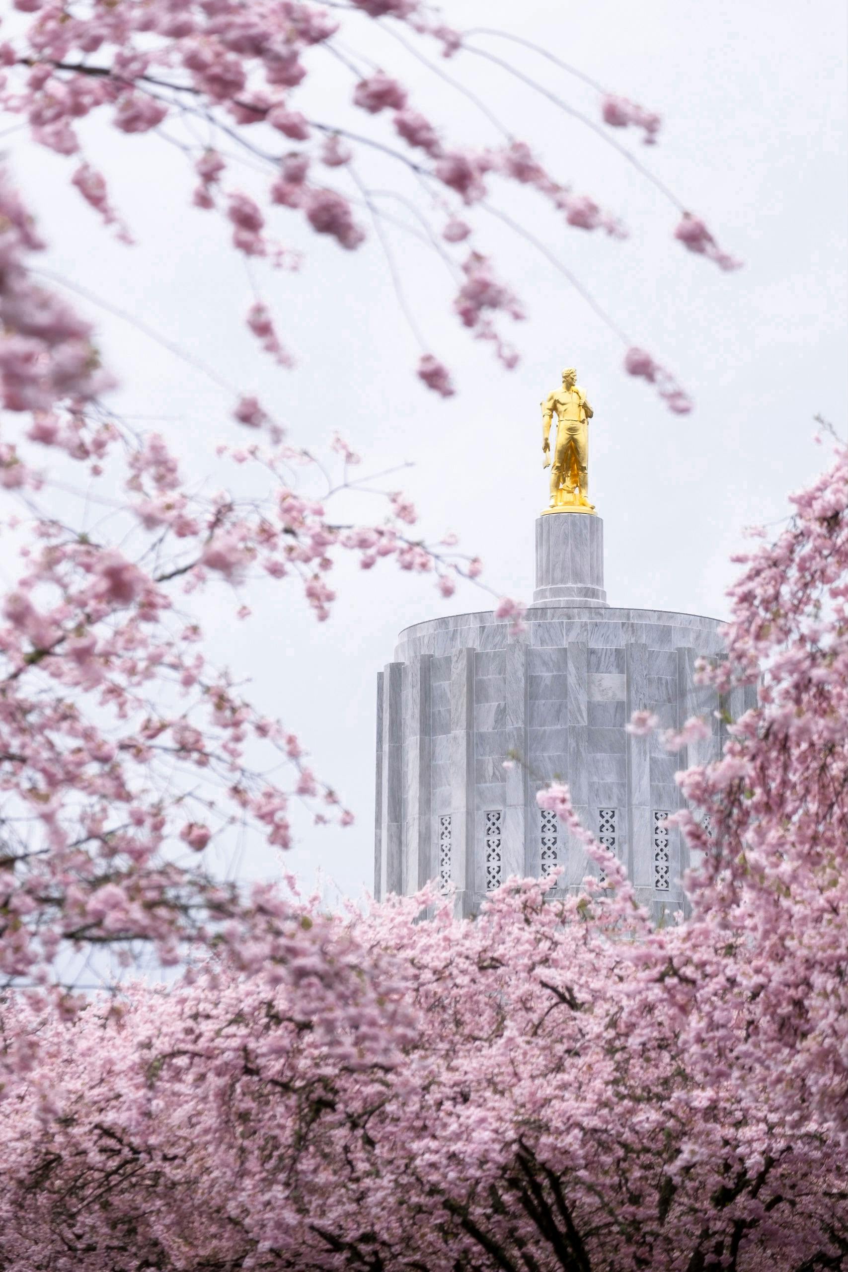 The State Capitol